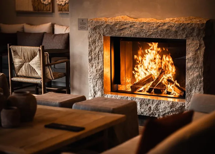 فندق De La Roche 4*